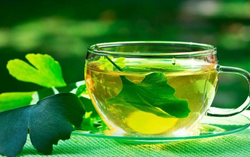 Чай гинкго билоба