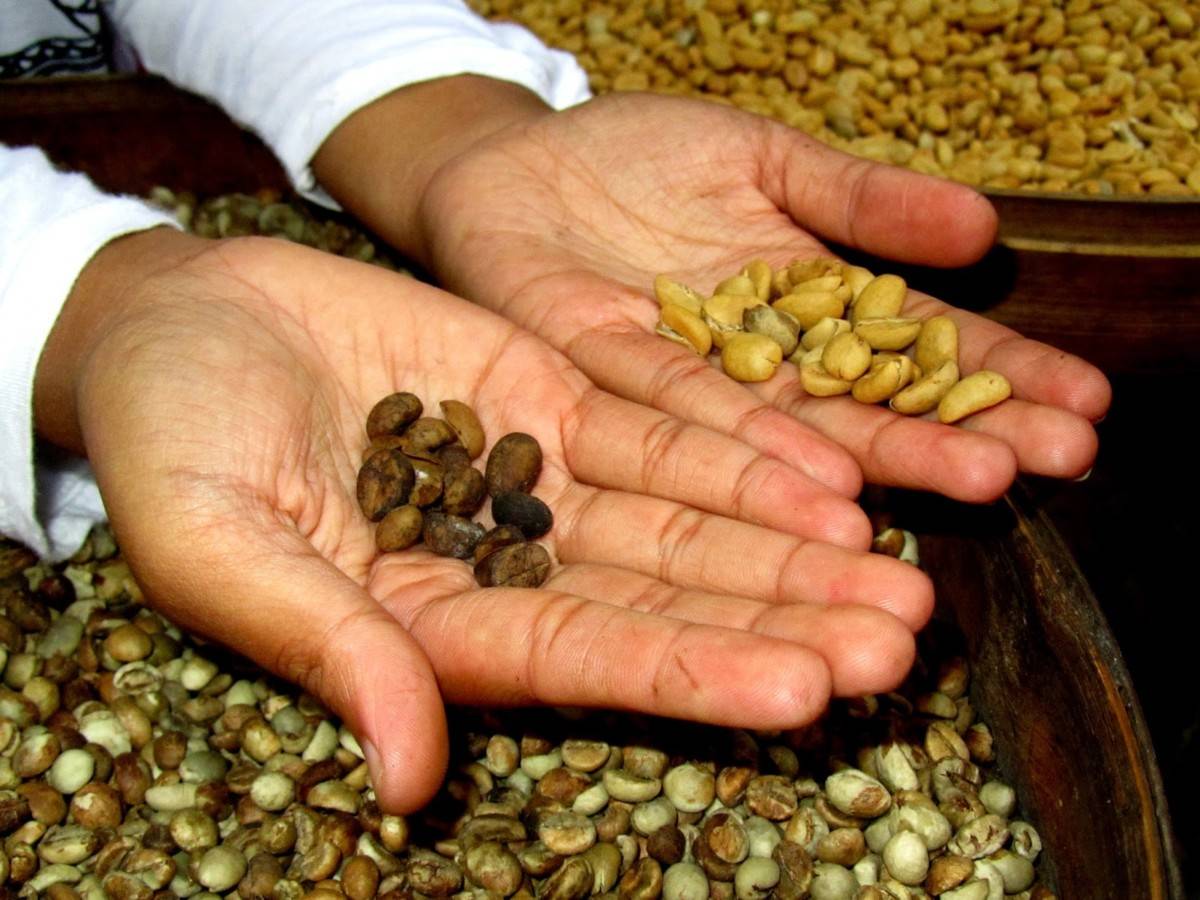 Кофе Carte Noire