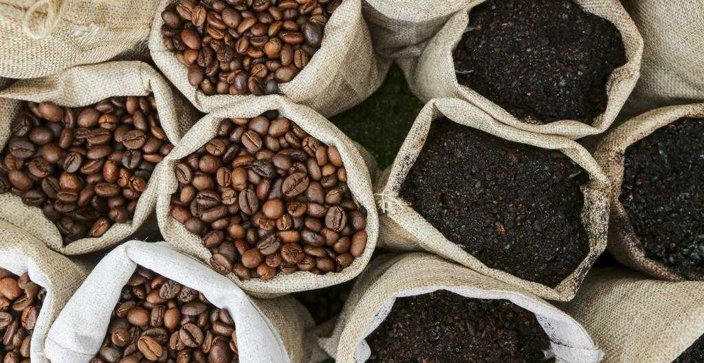 Сравнение 5 разновидностей кофе сорта марагоджип