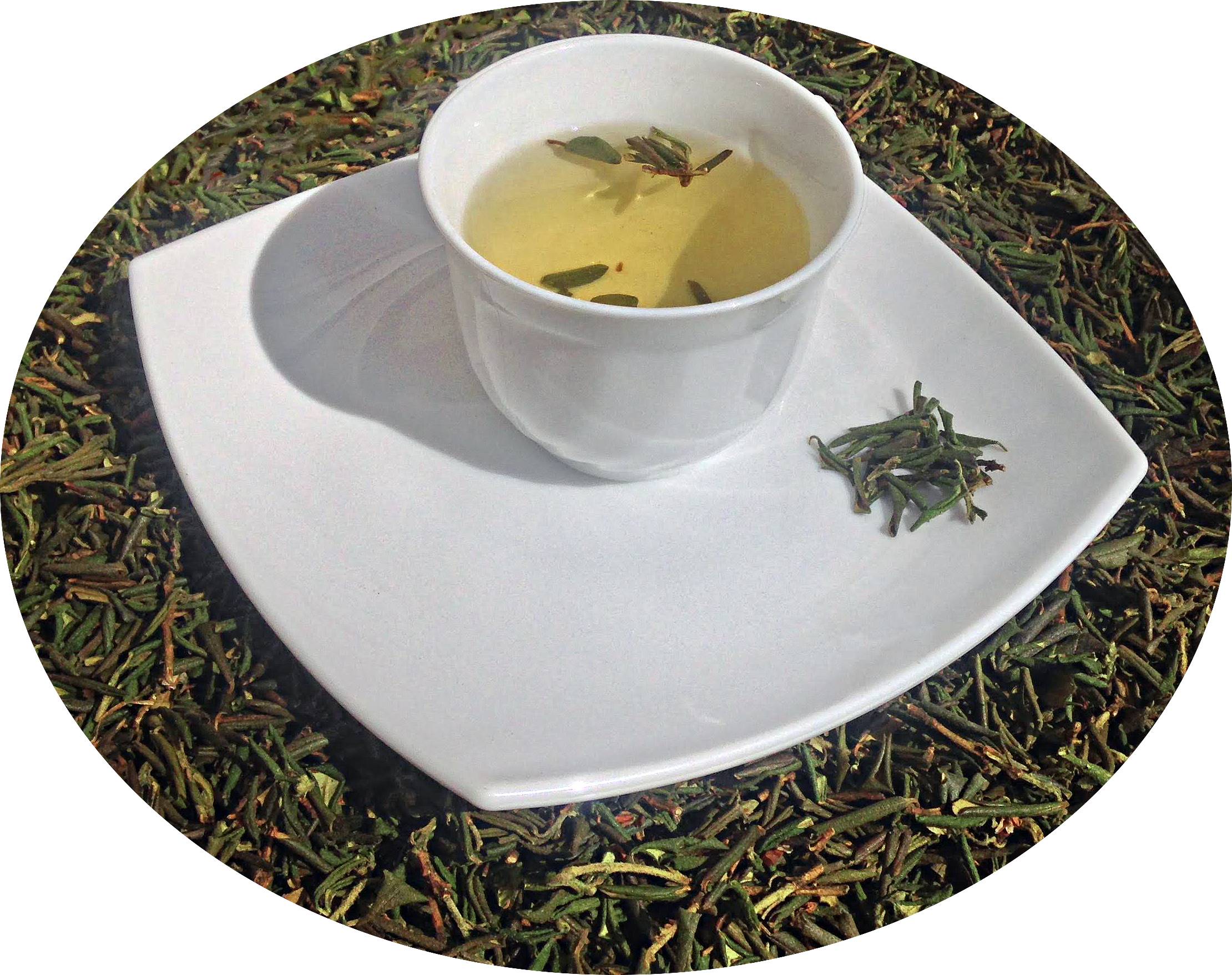 Чай сенна - полезные свойства. как заваривать траву