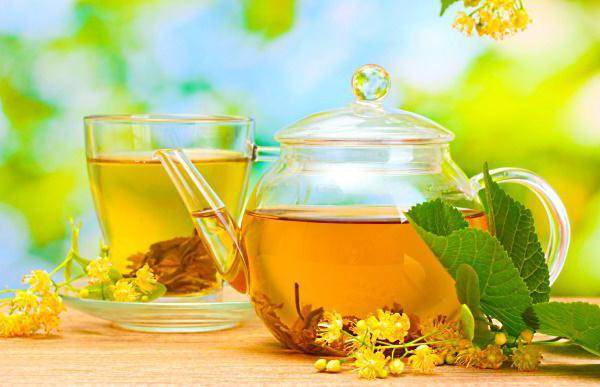 Чай из зверобоя: польза и вред для организма, показания к применению