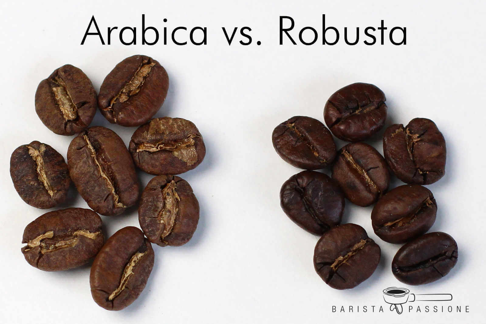 Кофе арабика: кофейное дерево, как производят и обжаривают зерна