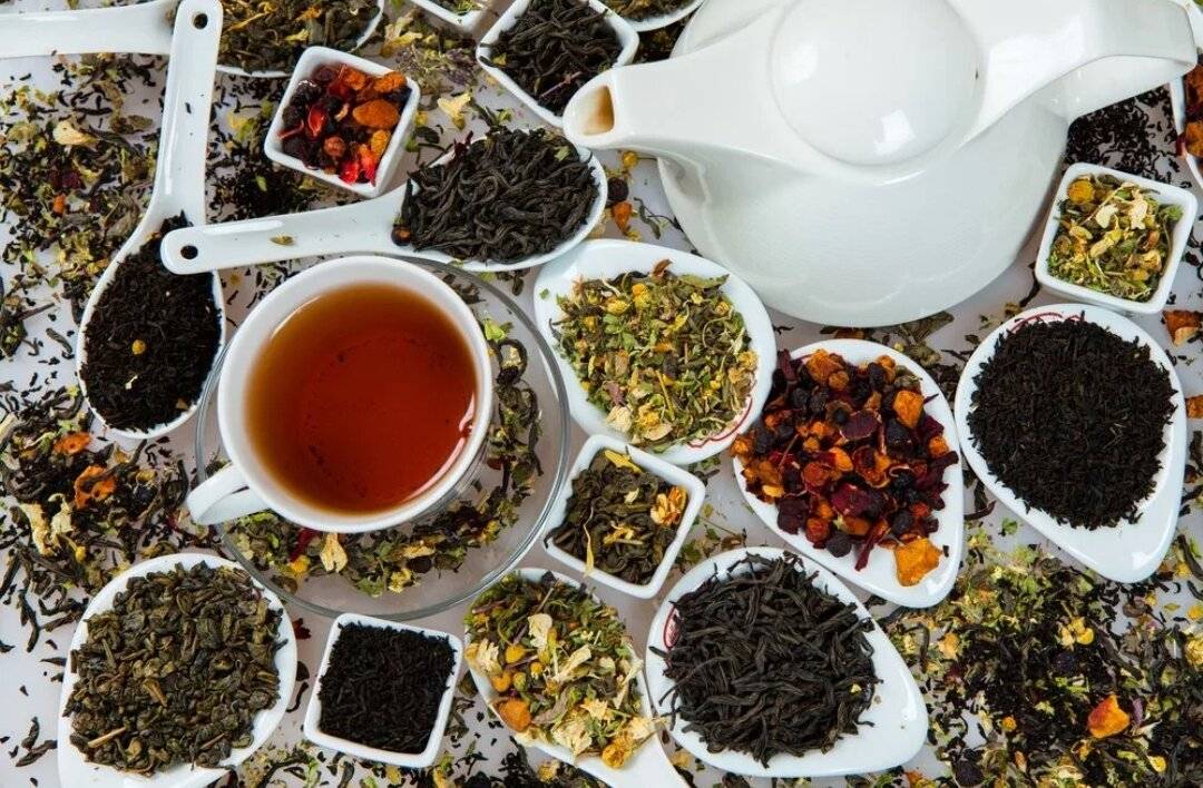 Чай из соцветий и лепестков — кладезь витаминов