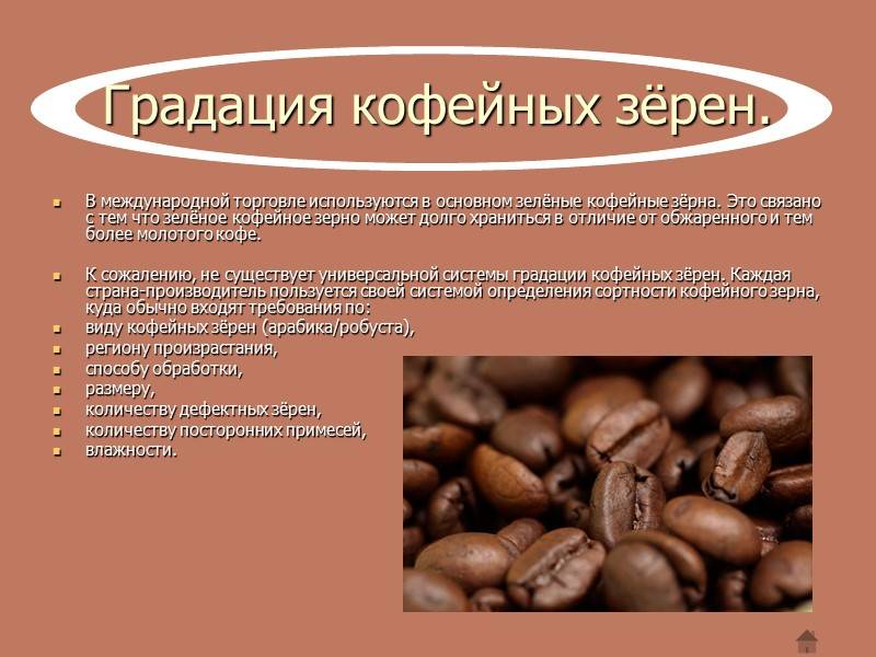 Рейтинг лучших сортов кофе в зернах на 2021 год