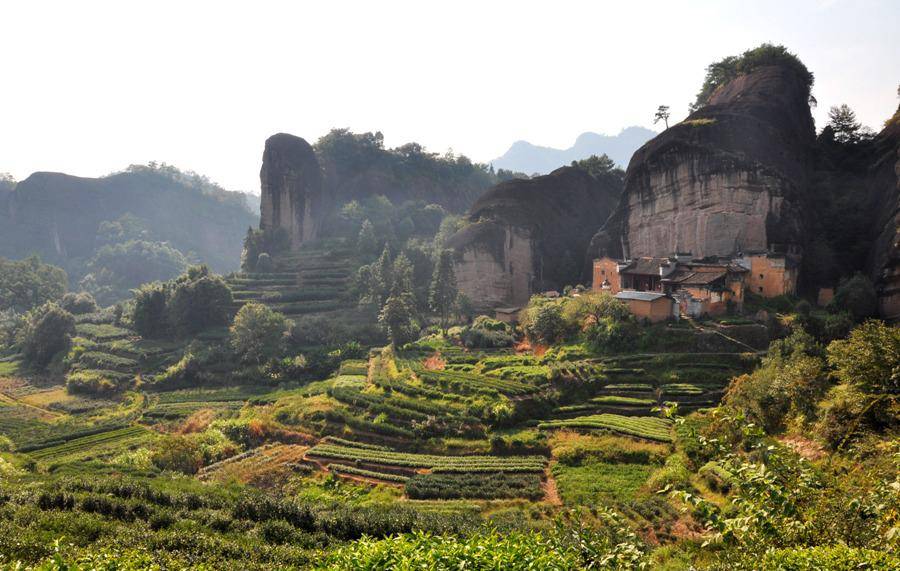 Описание чая Би Ло Чунь и его приготовление