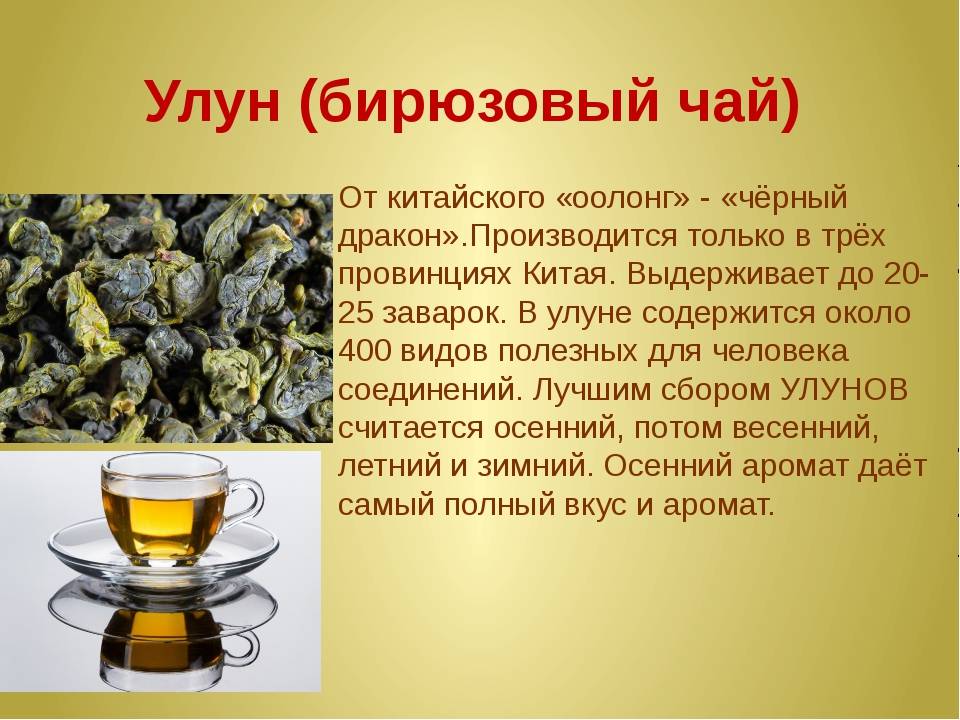 Моринга чай: свойства и применение