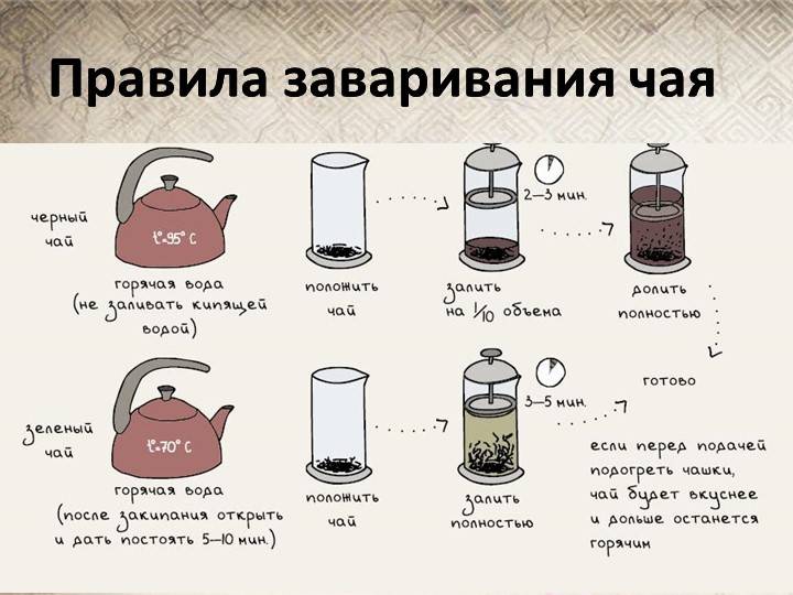 Рецепты зеленого чая для похудения | ✔ukrepit-immunitet.ru