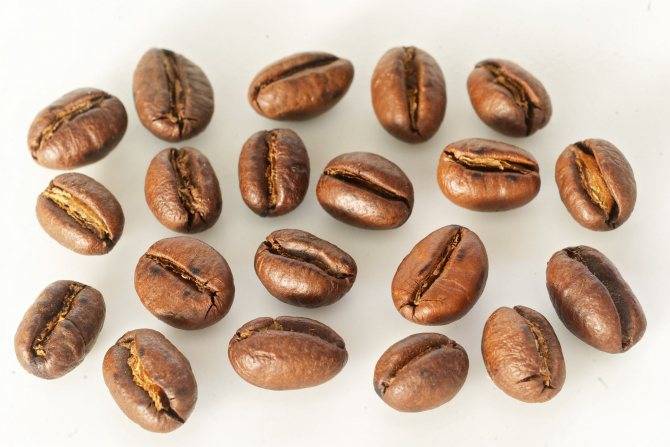 Африка умеет удивлять: кофе с экзотической кении