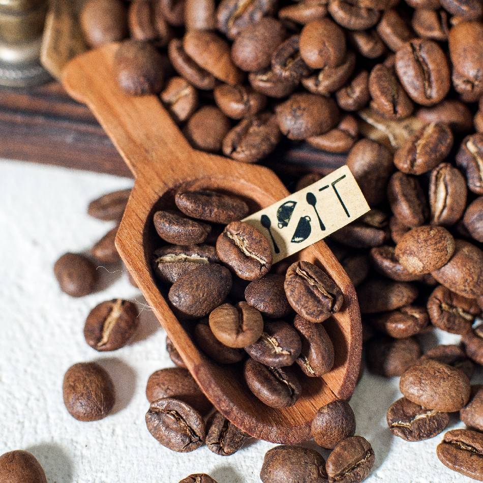 Кубинские сорта кофе: как возникла индустрия на острове