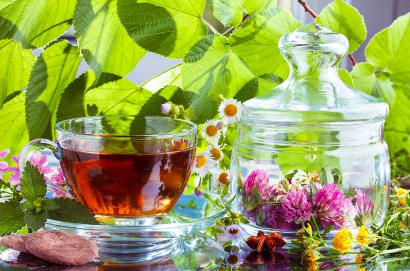 Травяной чай для сна – какой чай пить, рецепты заваривания