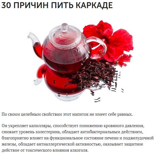 Все про чай каркаде — полезные свойства и противопоказания для мужчин