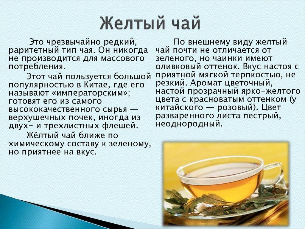 Чай ройбуш: что это такое и из чего делают, его полезные свойства и противопоказания
