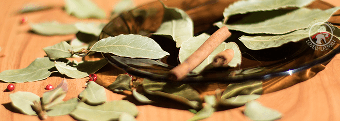 Применение чая из лаврового листа для похудения