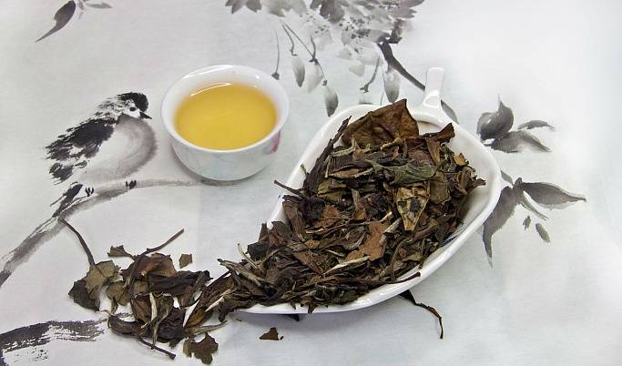 Белый чай: что это такое, польза и вред, чем он полезен, свойства