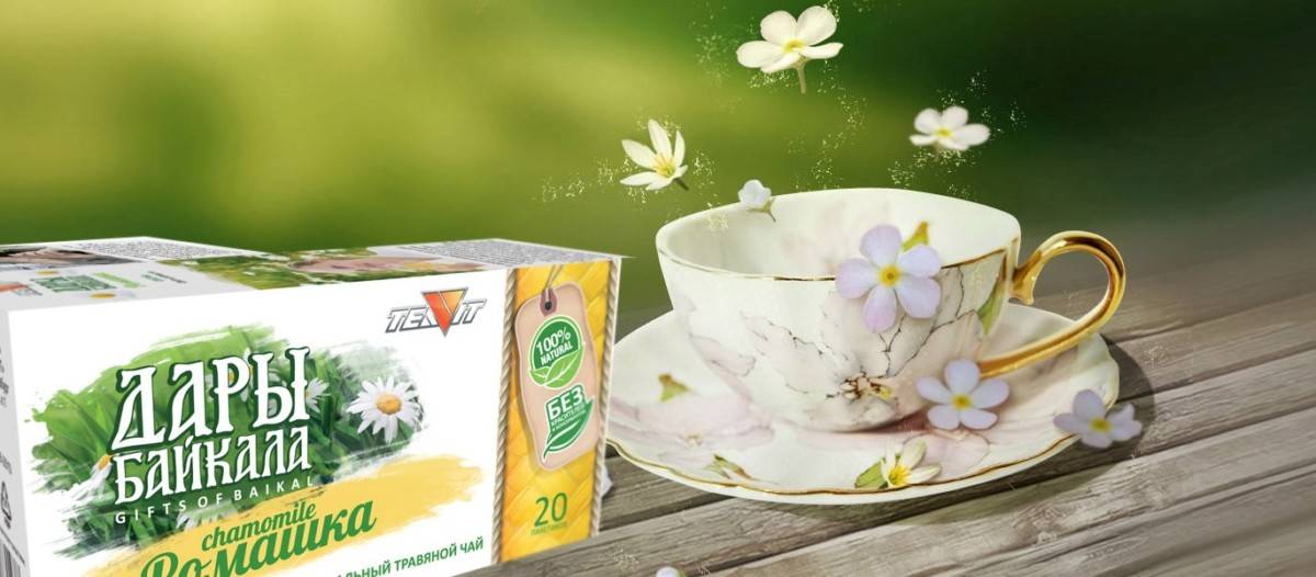 Чем полезен ромашковый чай — 7 доказанных свойств