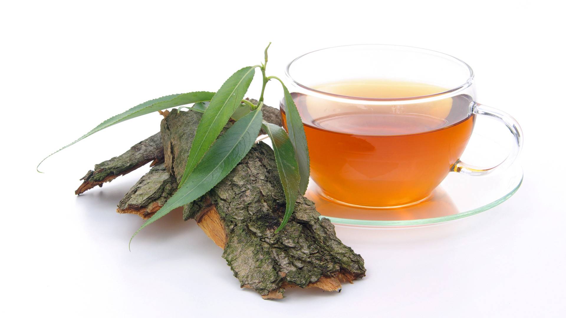 Полезный чай из веточек деревьев и кустарников