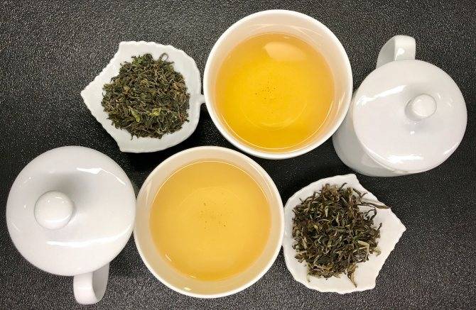 Индийский чай дарджилинг описание и свойства