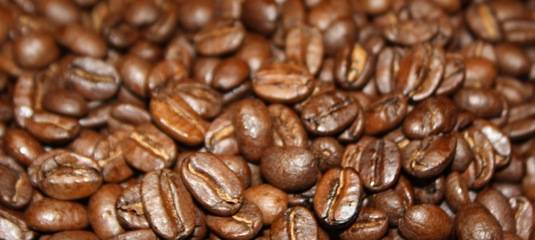 Кофе коста-рики, где растет, кто производит, сорта и виды