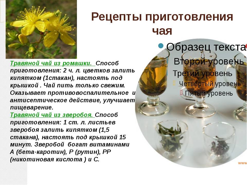 Чай из крапивы: полезные свойства, заваривание, отзывы