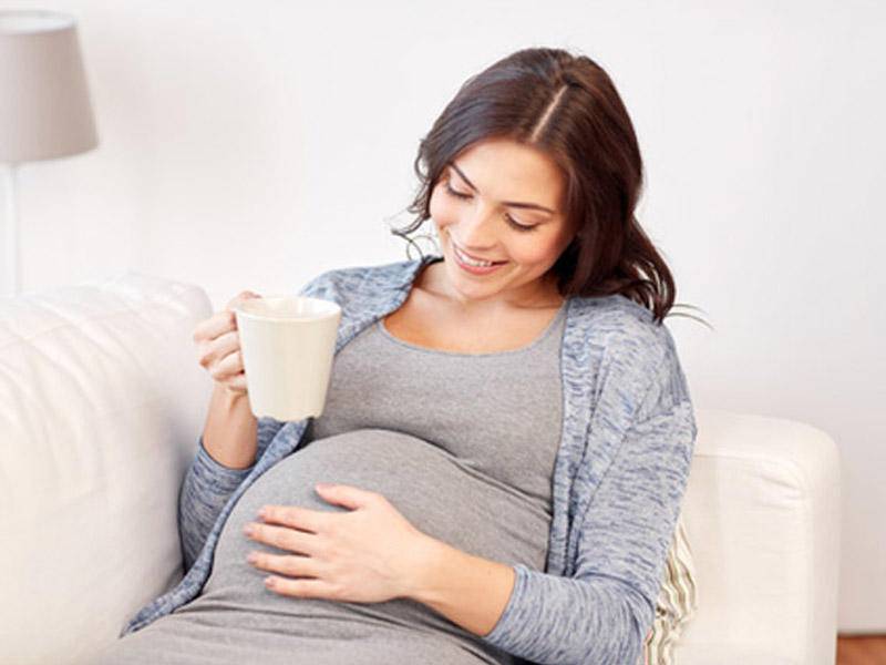 Зеленый чай при беременности на ранних и поздних сроках: можно ли пить?