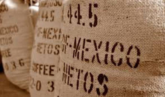Популярные сорта мексиканского кофе и тонкости приготовления
