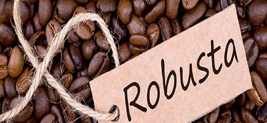 Насколько вредно сочетание кофе и сигарет, мнение медиков