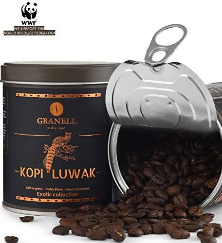 Копи лювак (kopi luwak) и другие экзотические сорта кофе