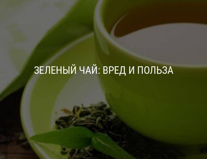 Зеленый чай польза и вред для организма женщины, мужчины и детей
