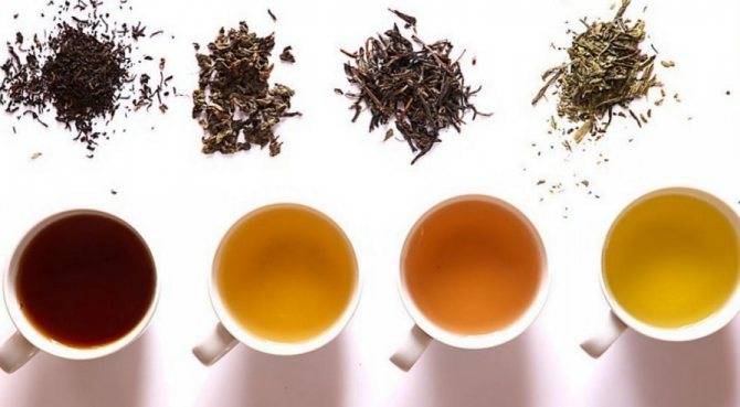 9 самых популярных сортов чая, которые понижают и повышают давление
