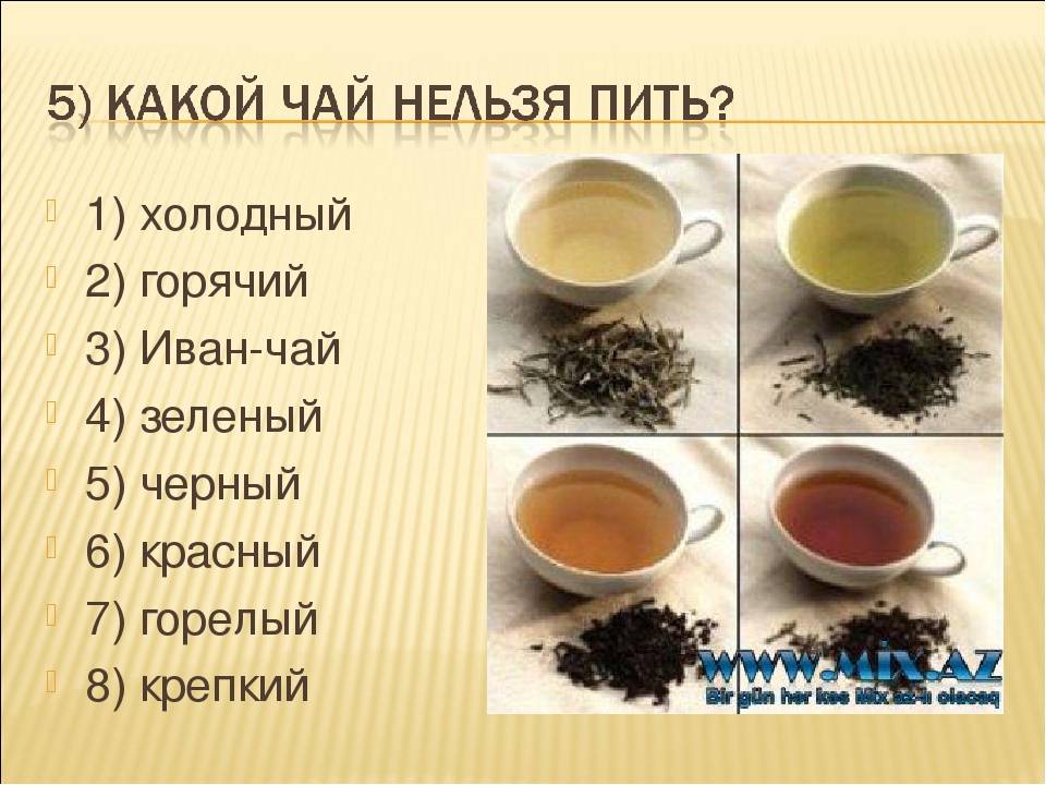 Какой чай полезнее: черный или зеленый – ура! повара