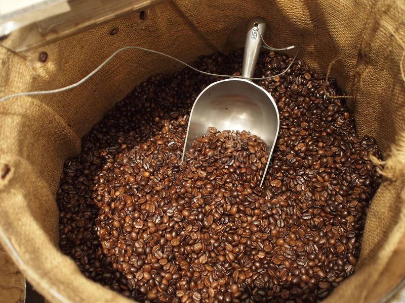 Кофе бариста в зернах: из чего делают, какая страна, ассортимент, мнение потребителей, как отличить подделку