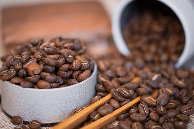 Сорта кофе арабика: какие лучше, чем отличаются