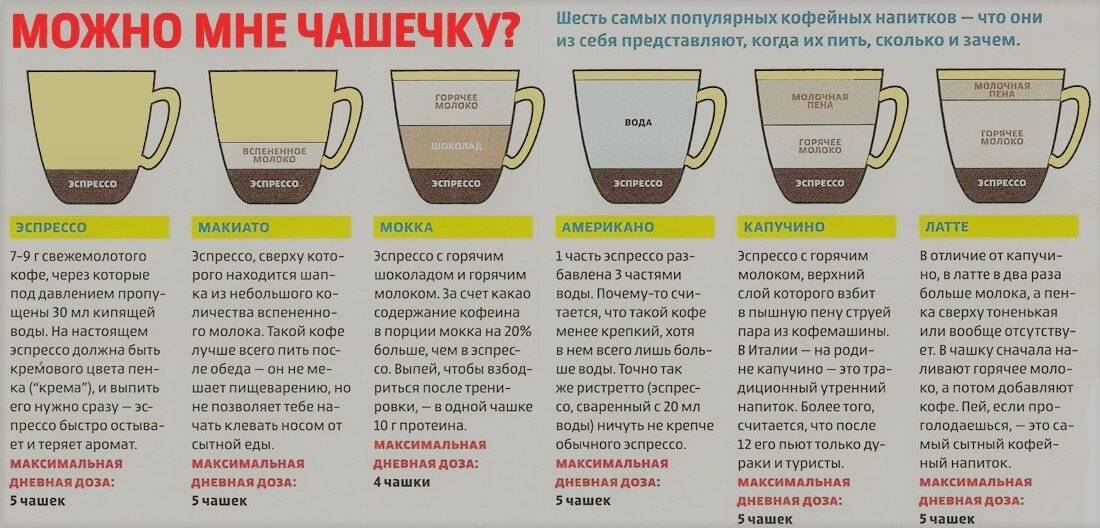 Кофе: польза и вред для здоровья, состав, виды, как варить