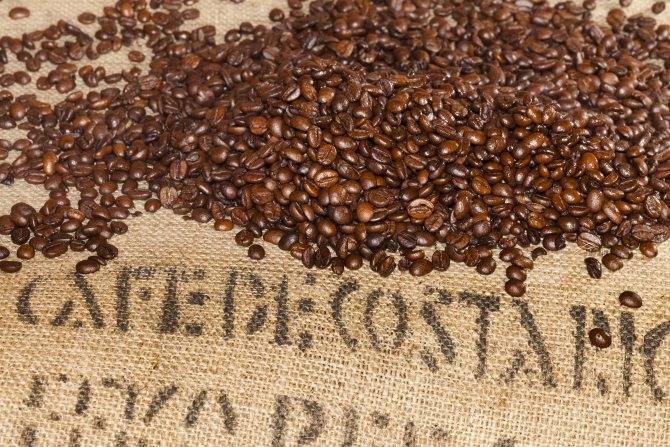Вкус легендарного кофе Коста-Рики и его рецепт