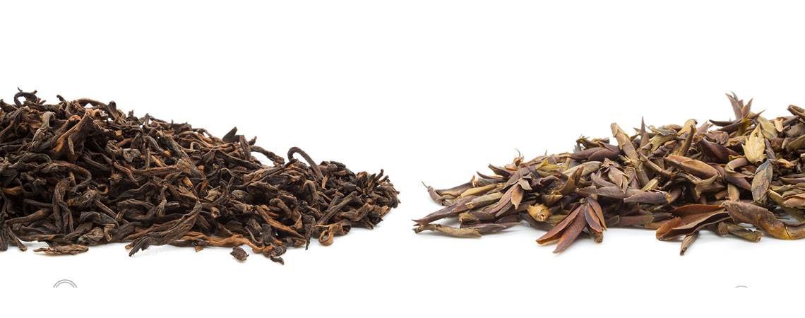 Какие бывают сорта чая