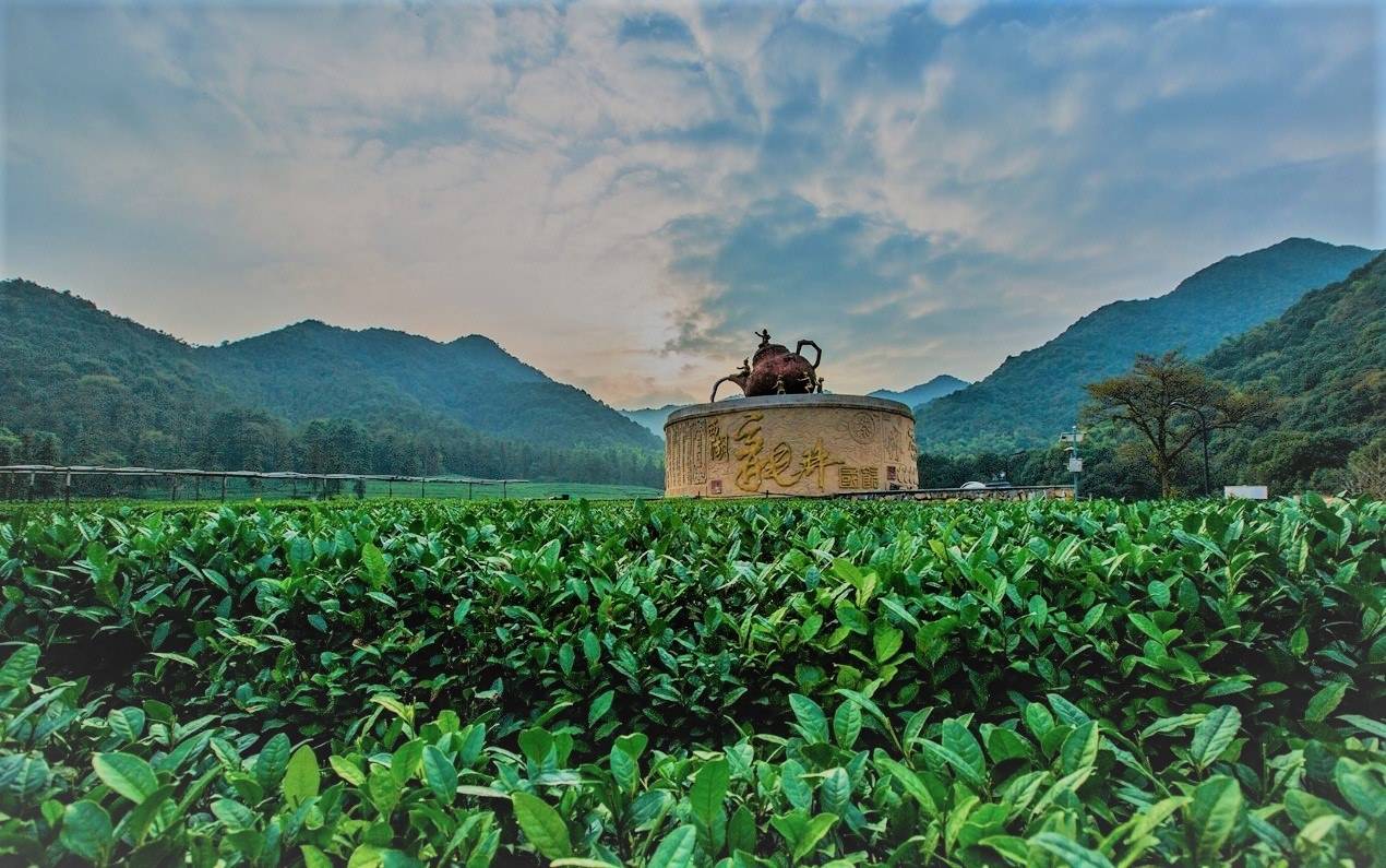 Чай Лунцзин Колодец Дракона