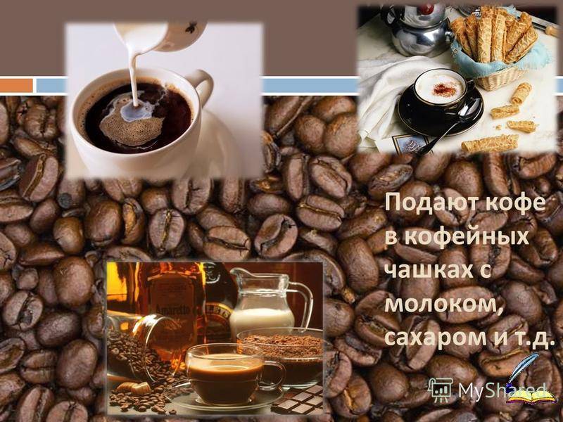 История кофе – кратко и понятно о том, как напиток появился в европе и россии