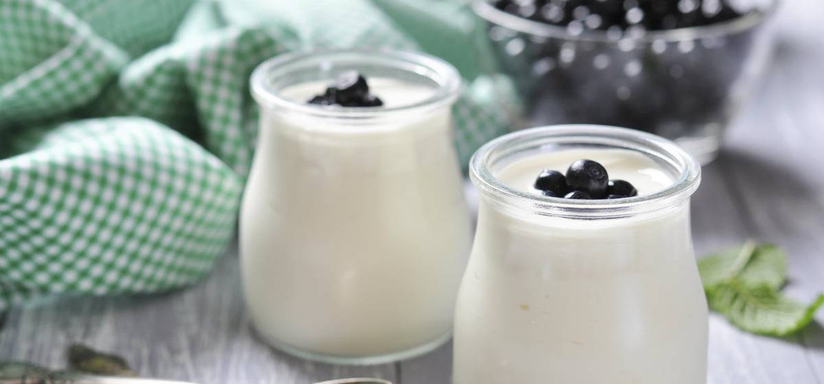 Йогуртница.ru.как сделать йогурт в домашних условиях: рецепт в йогуртнице с фото