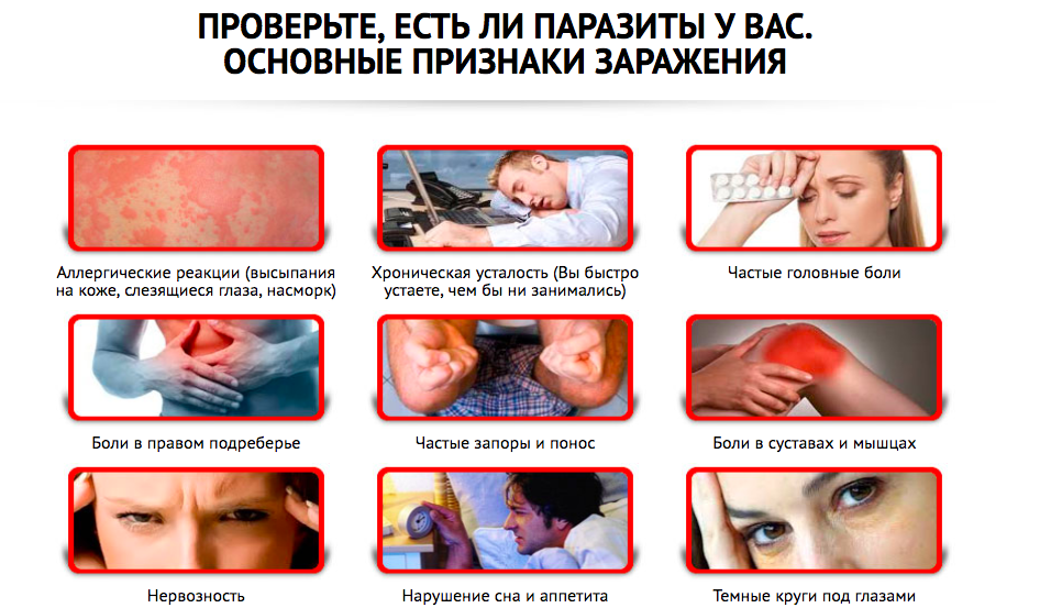 Монастырский чай от паразитов