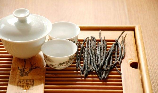 8 полезных свойств чая Кудин, которые помогут очистить организм
