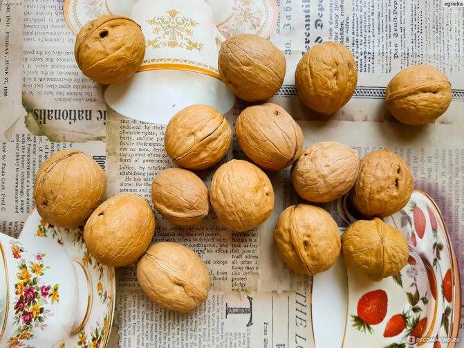 Надо ли замачивать орехи перед употреблением и как правильно это делать