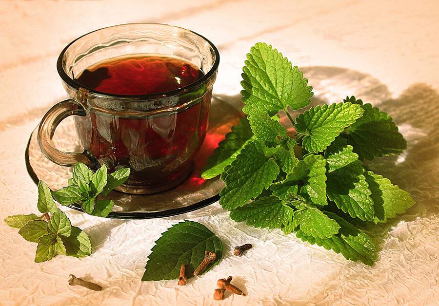 Чай из листьев малины ферментированный в домашних условиях