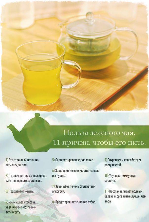 Зеленый чай: за и против