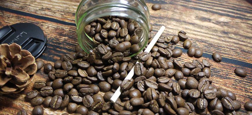 Кофе катимор (catimor): описание сорта арабики