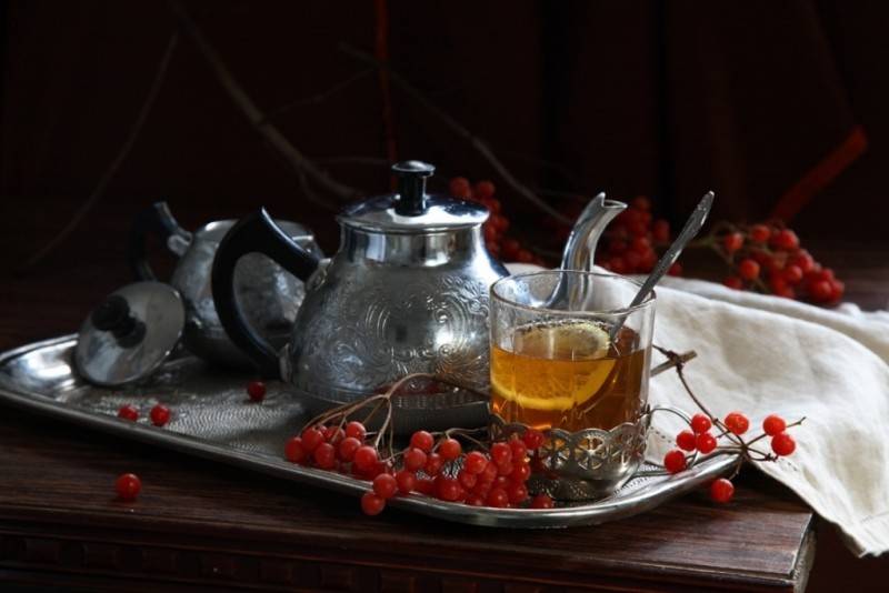Полезные свойства и приготовление чая с калиной