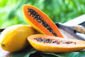Чай из листьев папайи: полезные свойства