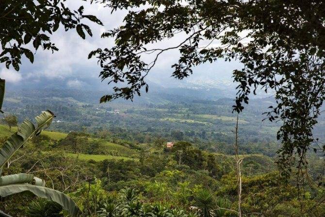 Отличительные особенности кофе Коста-Рики