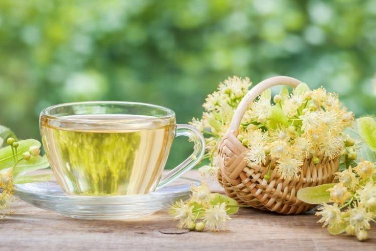 Липовый чай полезные свойства липового чая