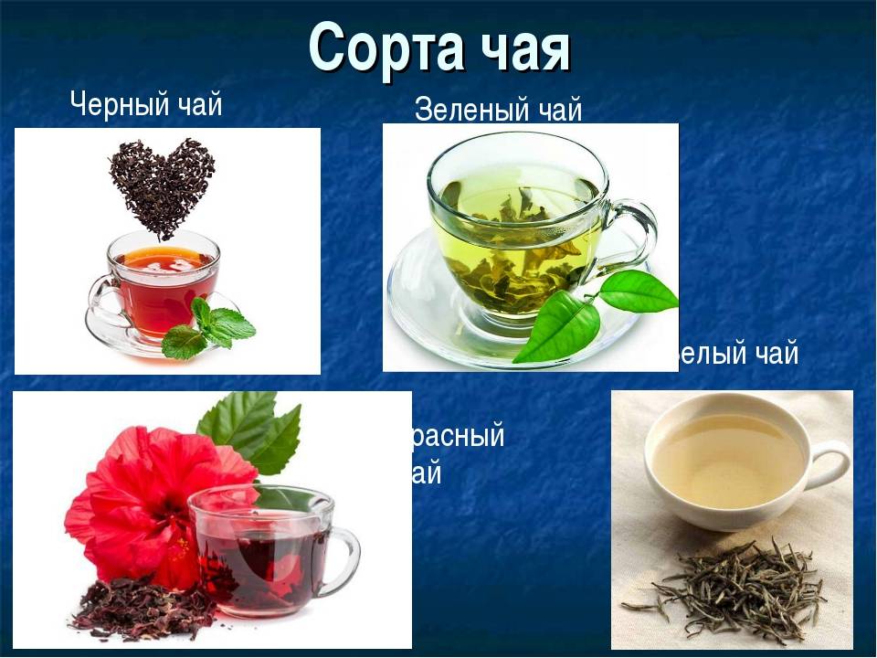 Обзор 9 главных видов и сортов чая от пуэра до типсового