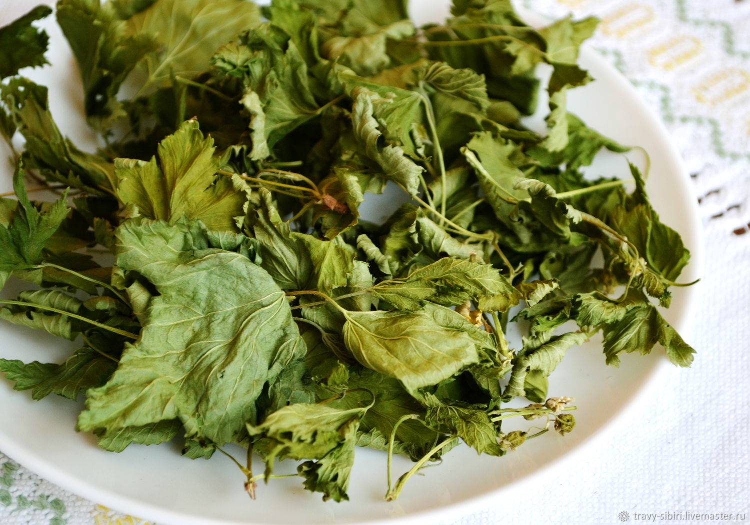 Когда собирать и как правильно сушить листья смородины и малины для чая?